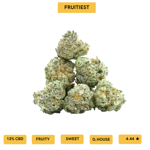 TUTTI FRUTTI SMALL BUDS - CBD FLOWER 🪅